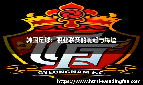 韩国足球：职业联赛的崛起与辉煌