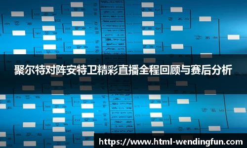 聚尔特对阵安特卫精彩直播全程回顾与赛后分析