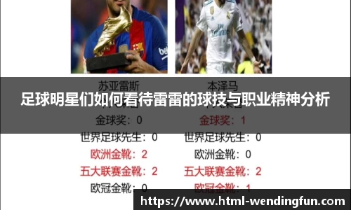 足球明星们如何看待雷雷的球技与职业精神分析